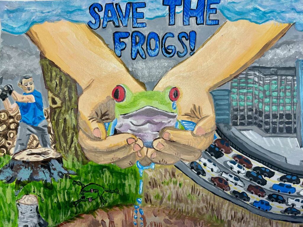 Meimei Zhang USA 2023 save the frogs art contest 1