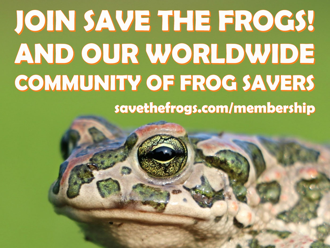 Membresía Save The Frogs