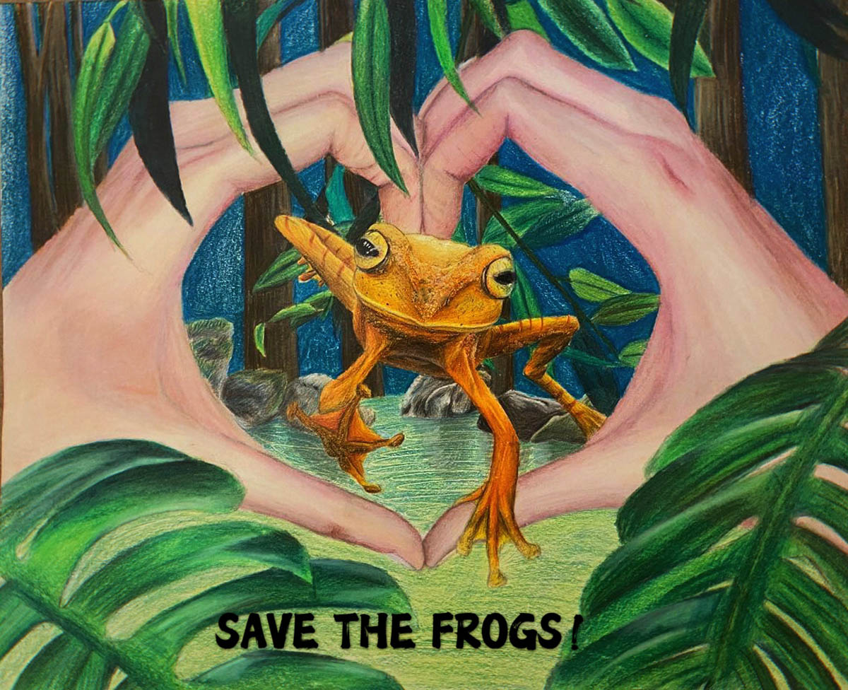Mengyang Pan USA 2020 save the frogs art contest
