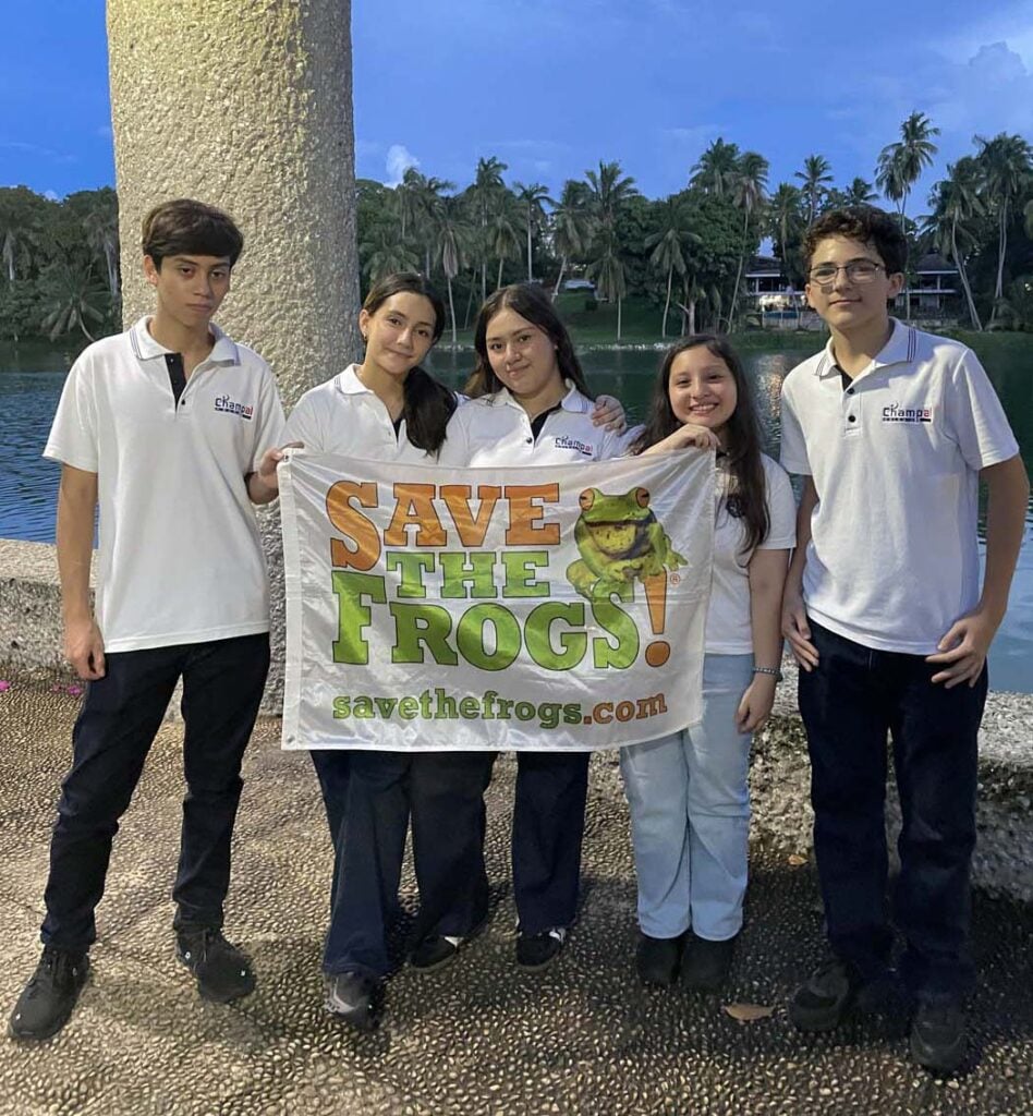 Mexico - Tabasco - Villahermosa - Hoạt động giải thưởng 2025 - 13