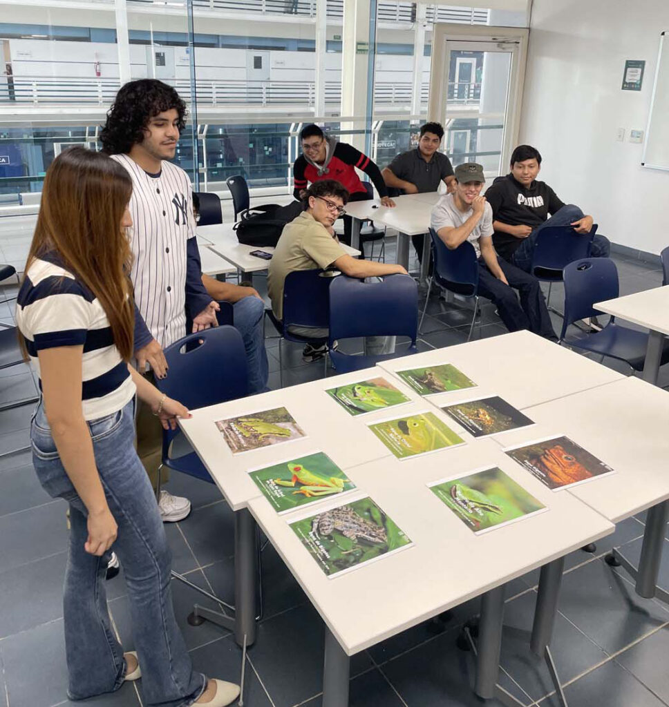 Hoạt động Giải thưởng Tabasco Villahermosa Mexico 2025 15