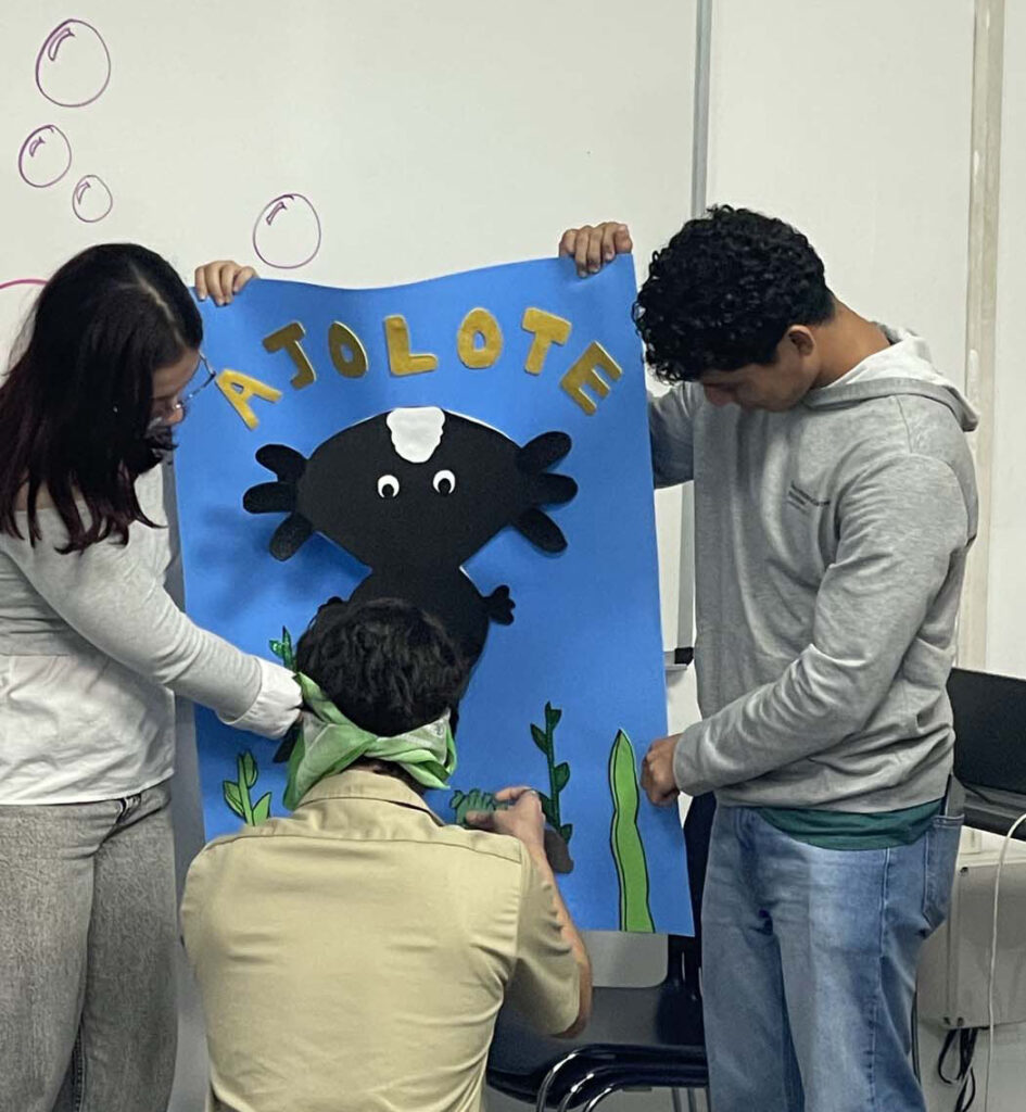 Hoạt động Giải thưởng Tabasco Villahermosa Mexico 2025 17