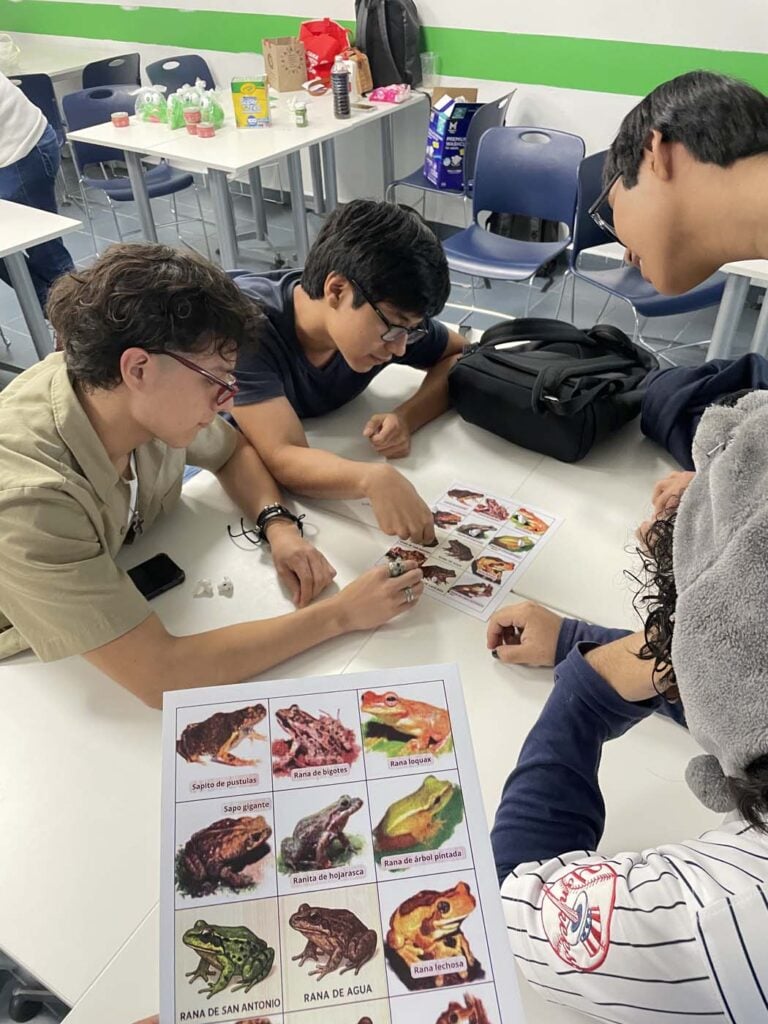 Giải thưởng Mexico Tabasco Villahermosa Hoạt động 2025 18