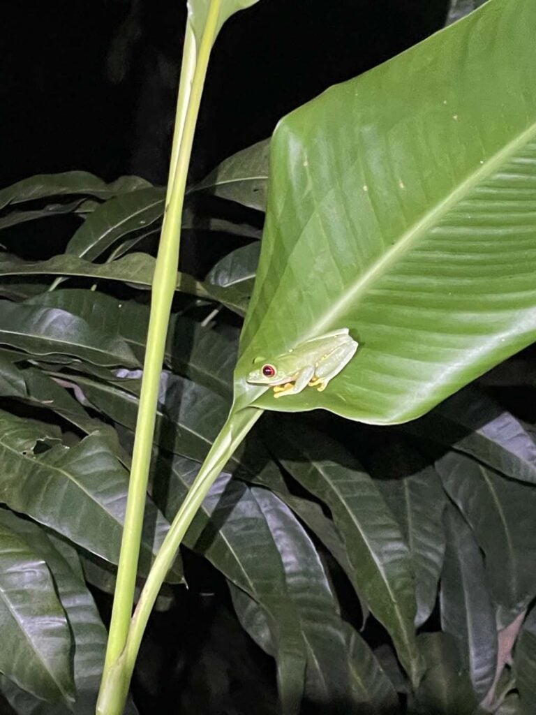 Hoạt động Giải thưởng Tabasco Villahermosa Mexico 2025 27