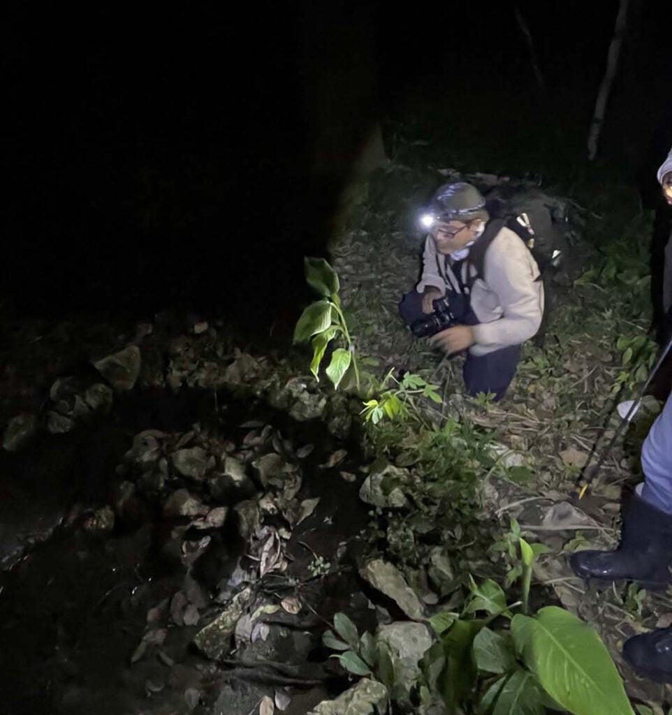 Mexico - Tabasco - Villahermosa - Hoạt động giải thưởng 2025 - 30