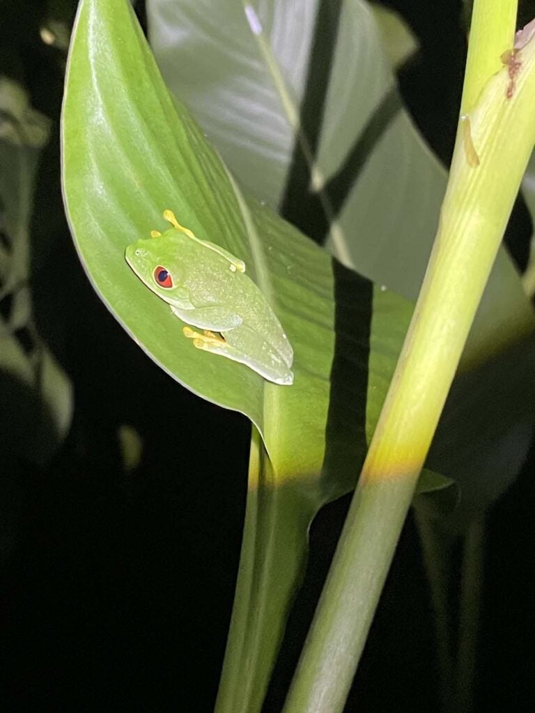 Mexico - Tabasco - Villahermosa - Hoạt động giải thưởng 2025 - 31