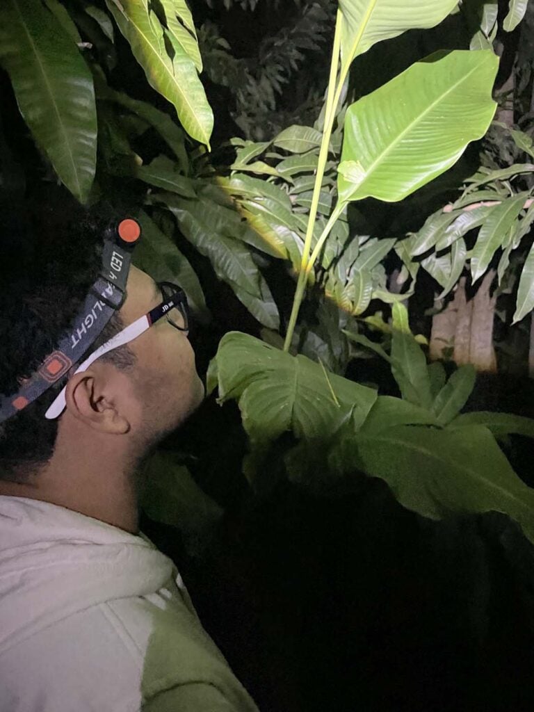 Hoạt động Giải thưởng Tabasco Villahermosa Mexico 2025 34