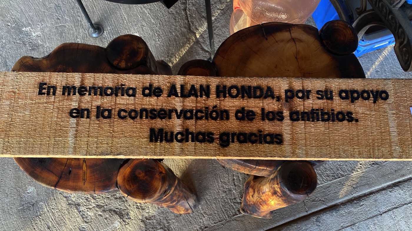 Mexico Wetlands Baja California - Poza 4 Milpas En memoria de Alan Honda