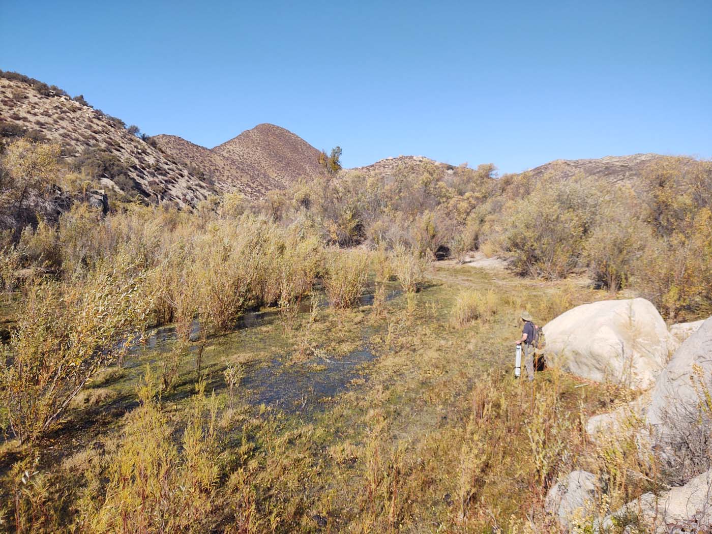 Mexico Wetland Restoration - Baja California