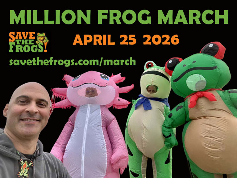 Million Frog March Icon - 2026