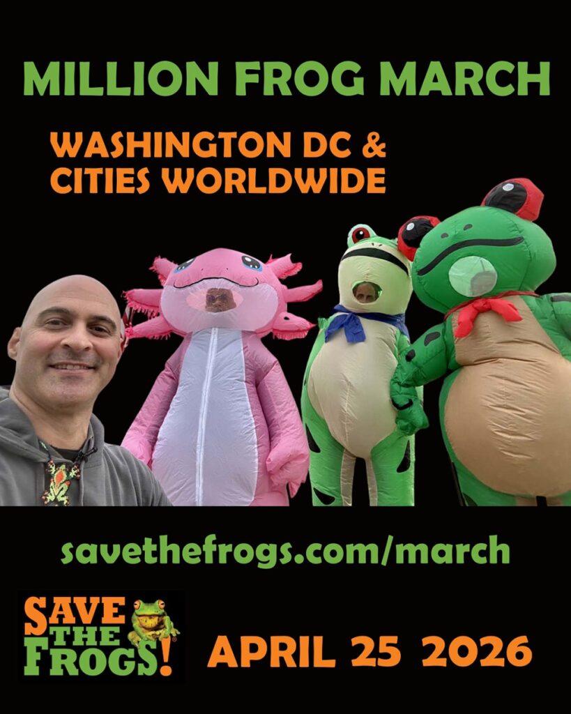 ไอคอน Million Frog March - 2026 แนวตั้ง 4x5