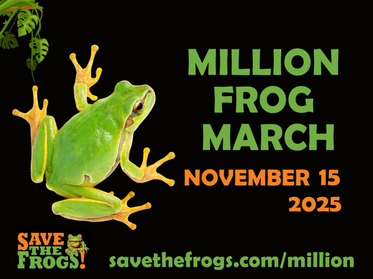 Million Frog March Icon
