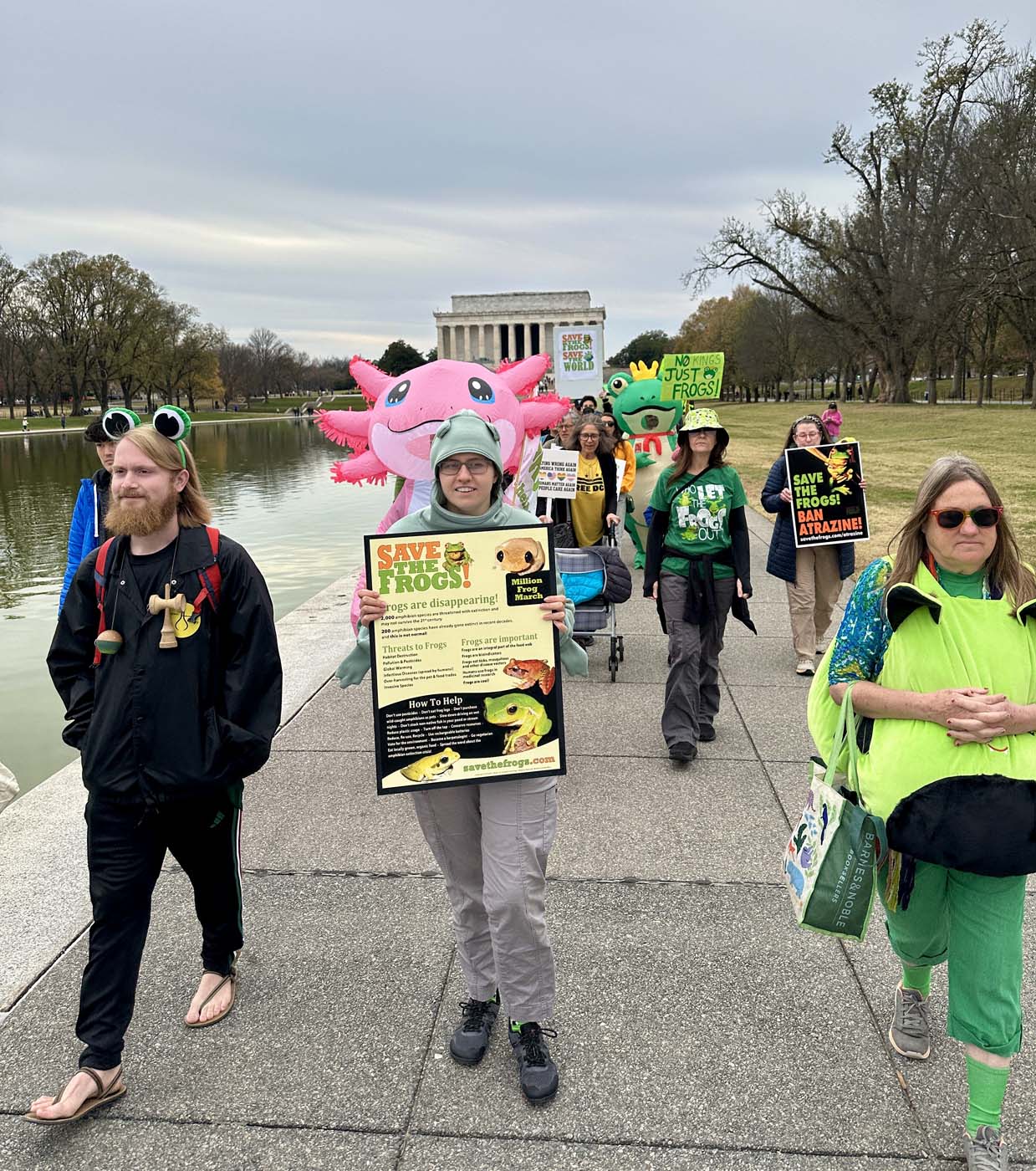 Million Frog March - Washington DC - 2025-11-15 - 08