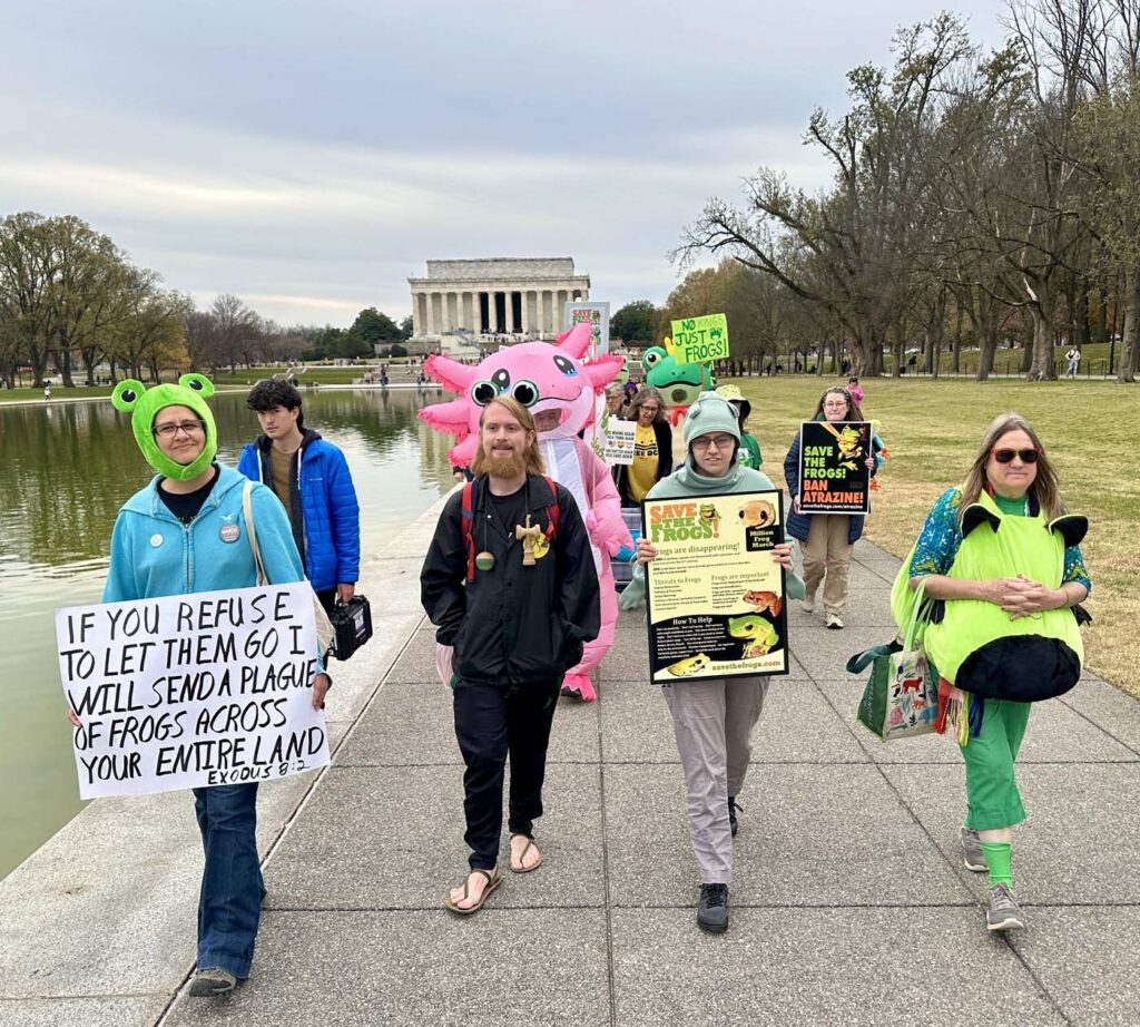 Pawai Sejuta Katak Washington DC 2025 11 15 09