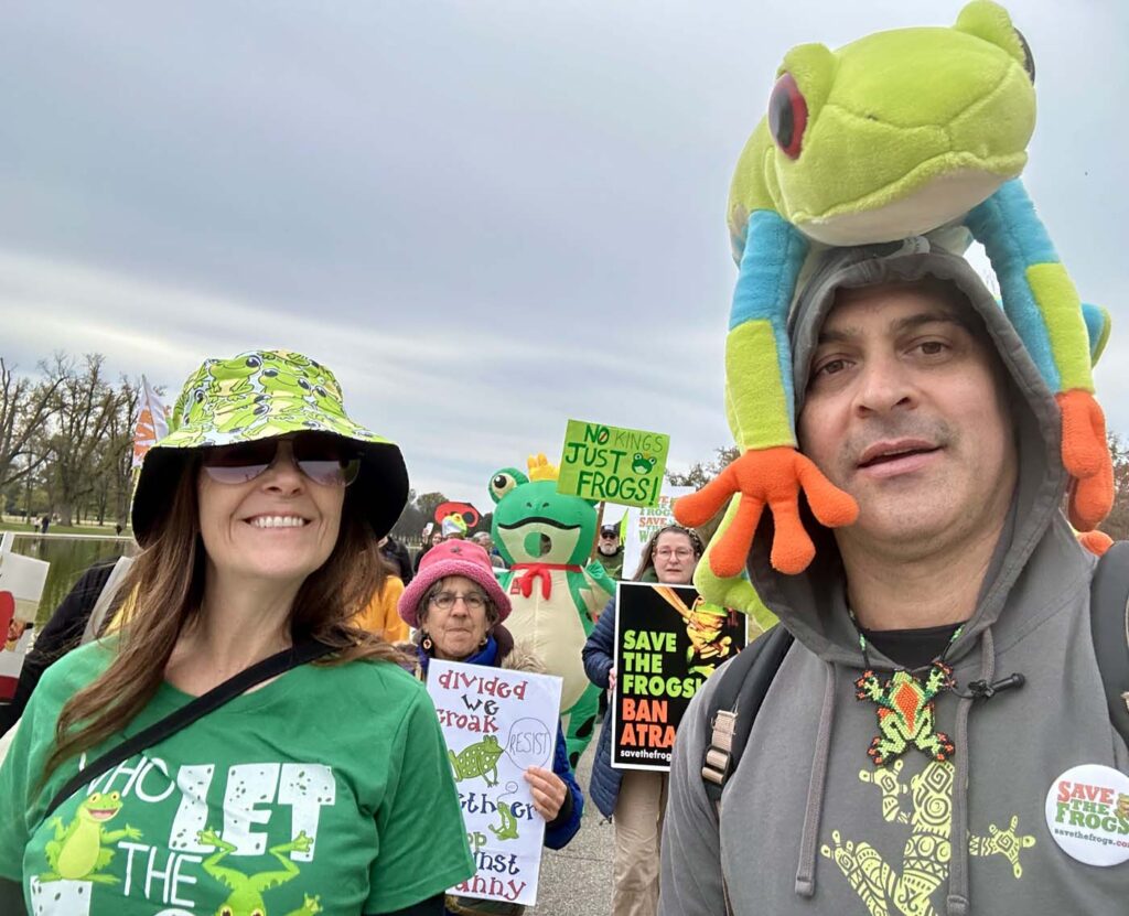 मिलियन फ्रॉग मार्च - वाशिंगटन डीसी - 2025-11-15