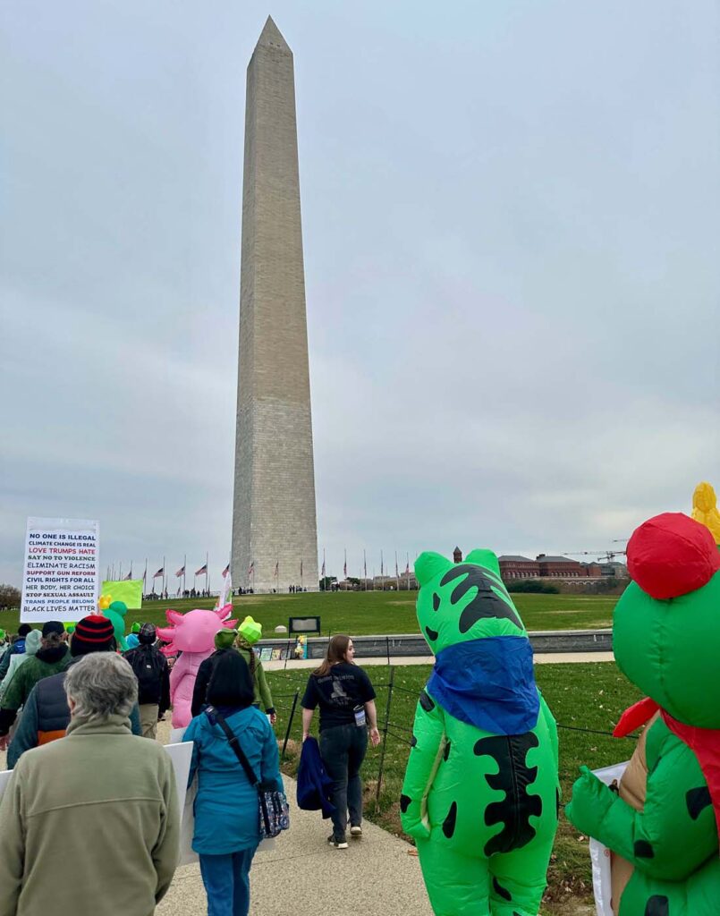 Pawai Sejuta Katak Washington DC 2025 11 15 27