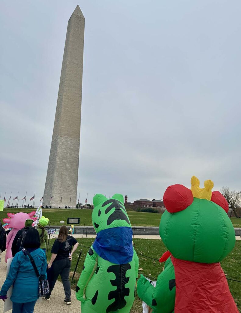 Pawai Sejuta Katak Washington DC 2025 11 15 28