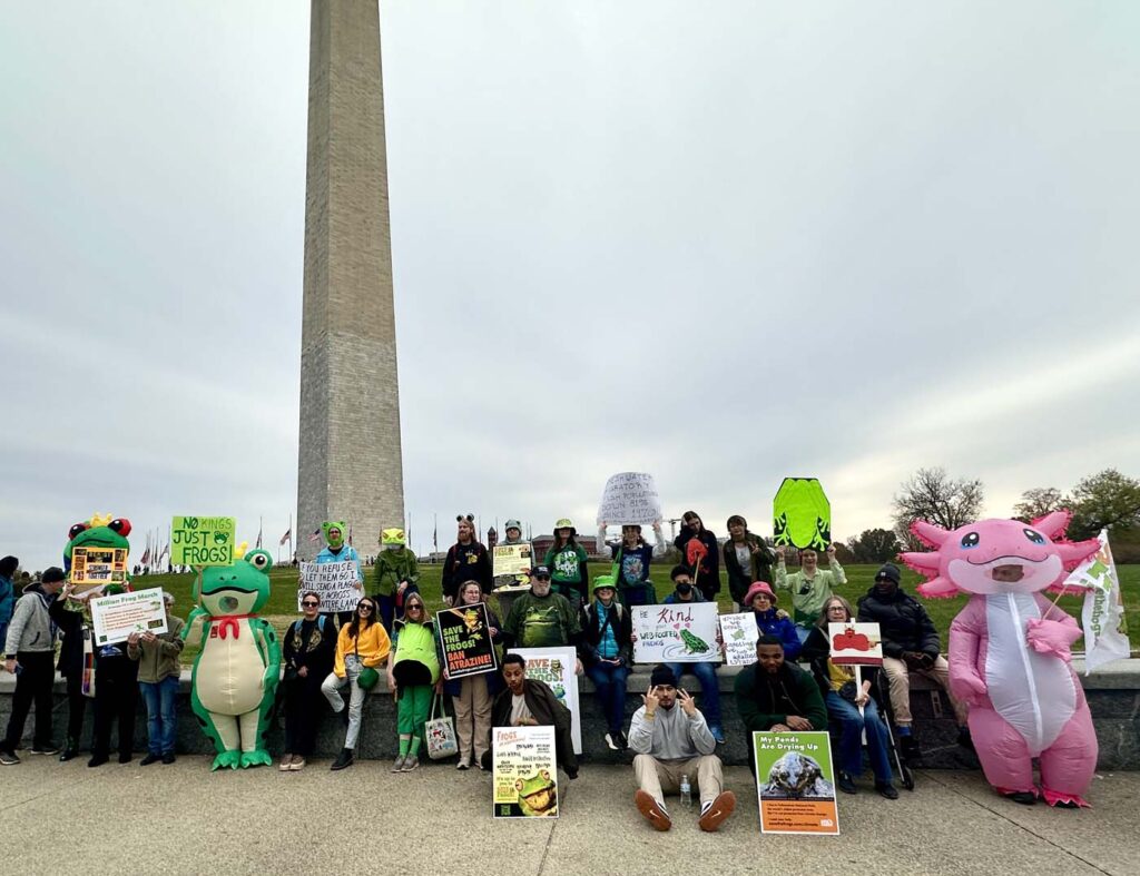 Pawai Sejuta Katak Washington DC 2025 11 15 29