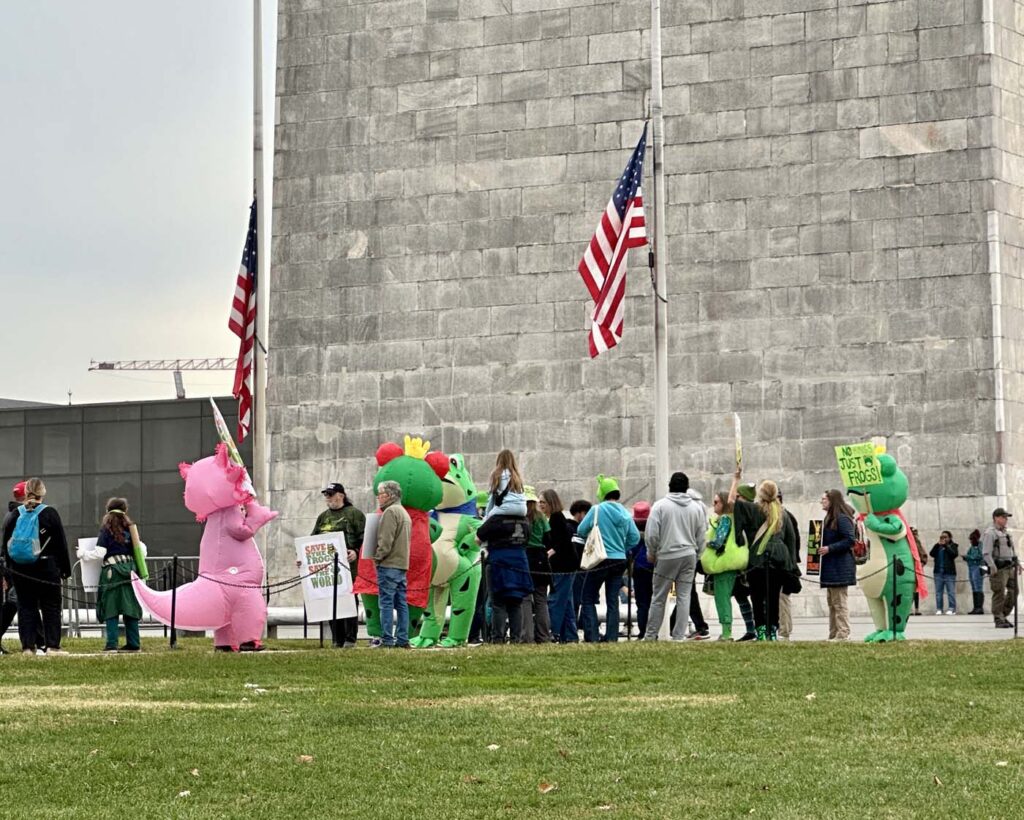 Pawai Sejuta Katak Washington DC 2025 11 15 38