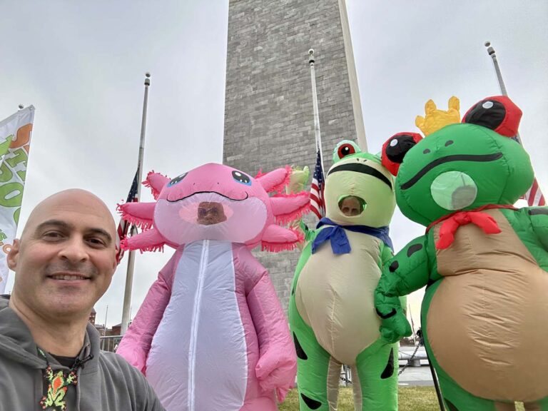 Million Frog March - Washington DC - 2025