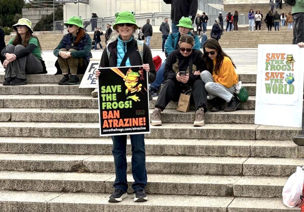 Pawai Sejuta Katak Washington DC 2025 11 15 65