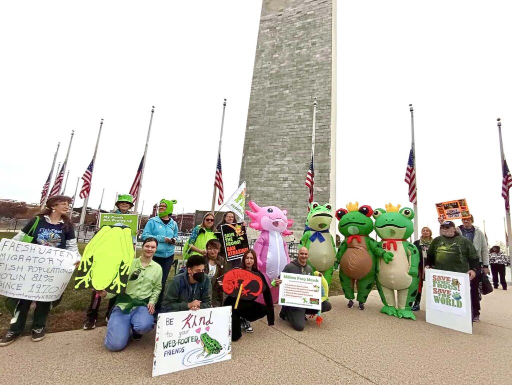 Pawai Sejuta Katak - Washington DC - 15-11-2025