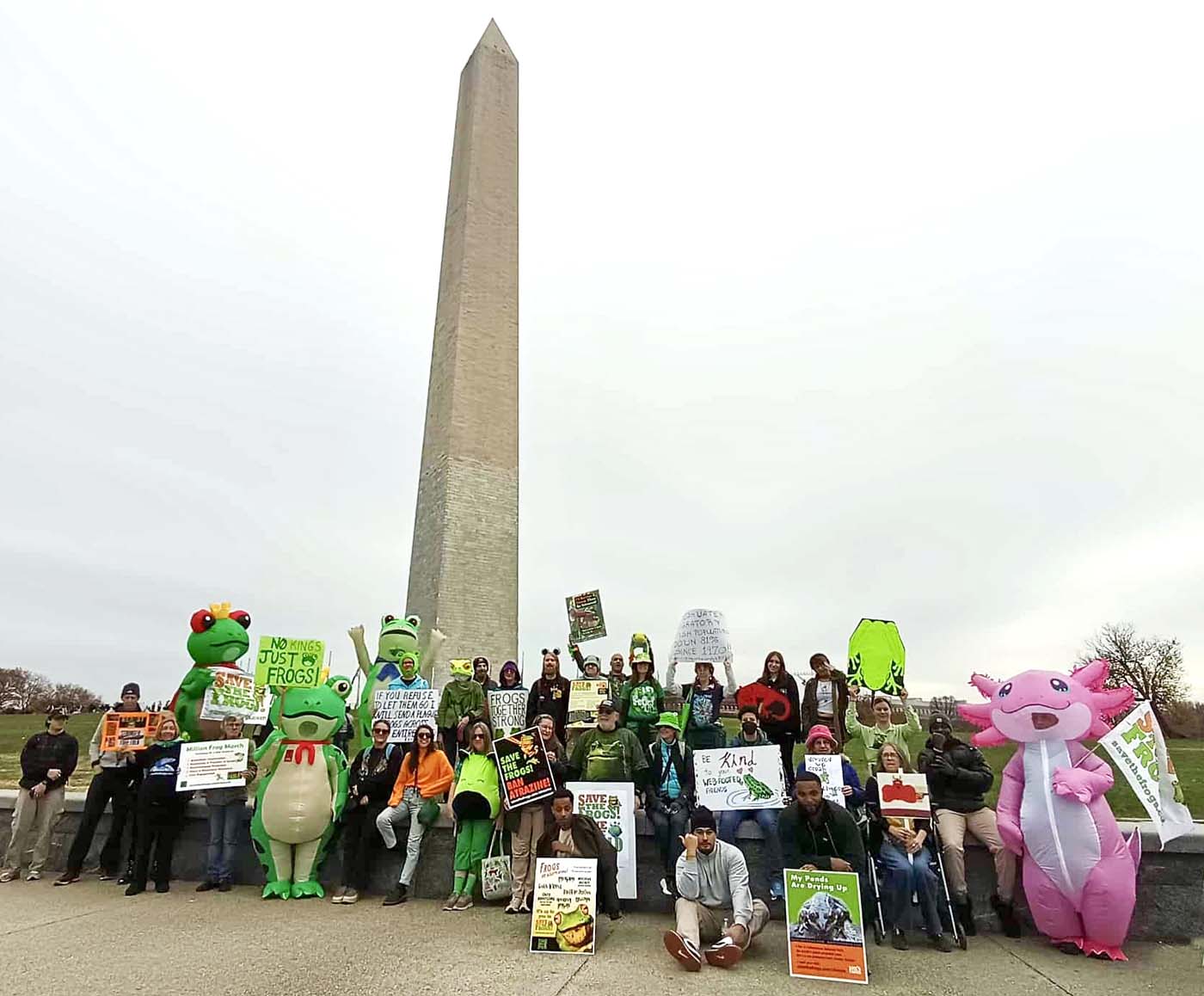 Million Frog March - Washington DC - 15-11-2025 - 71