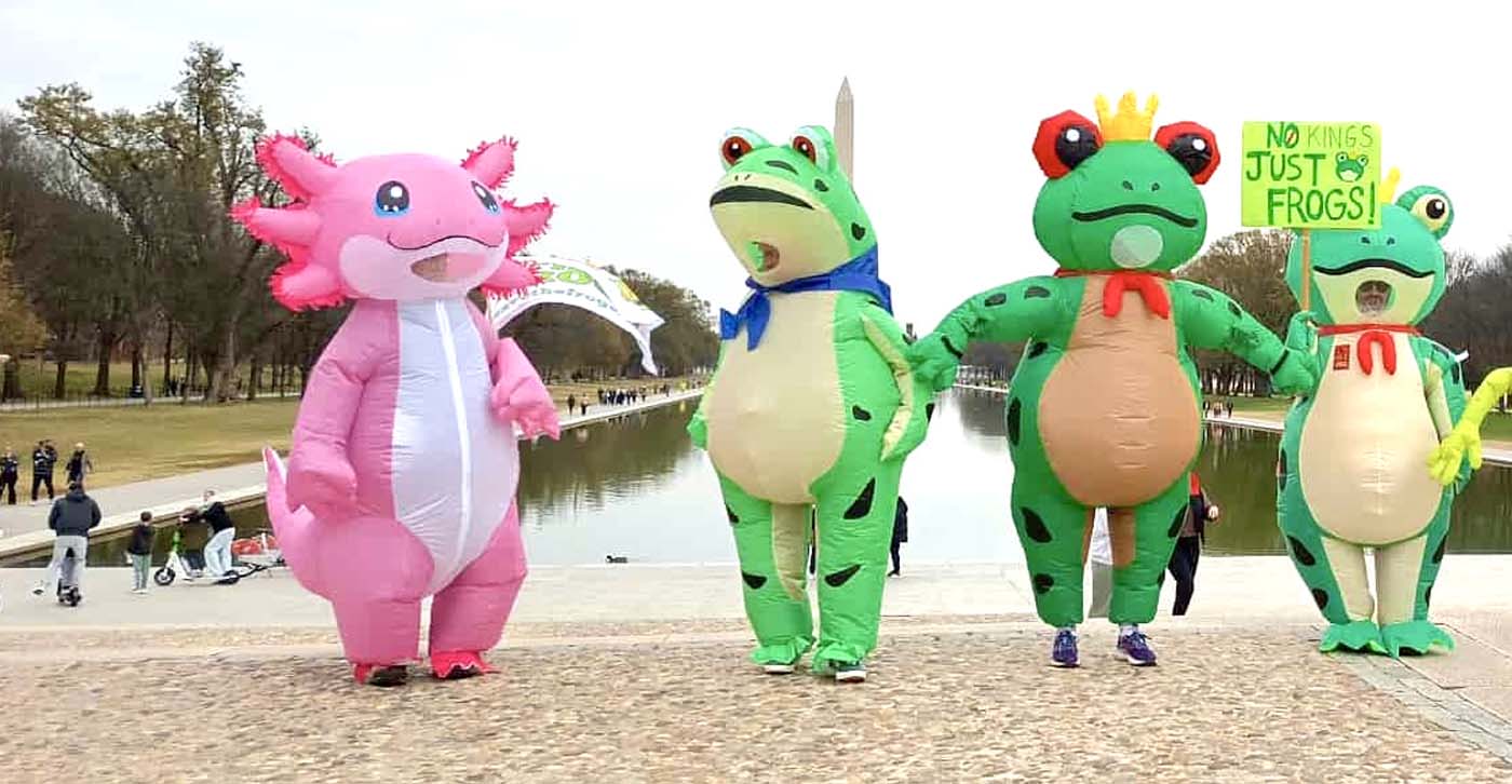 Million Frog March - Washington DC - 15-11-2025