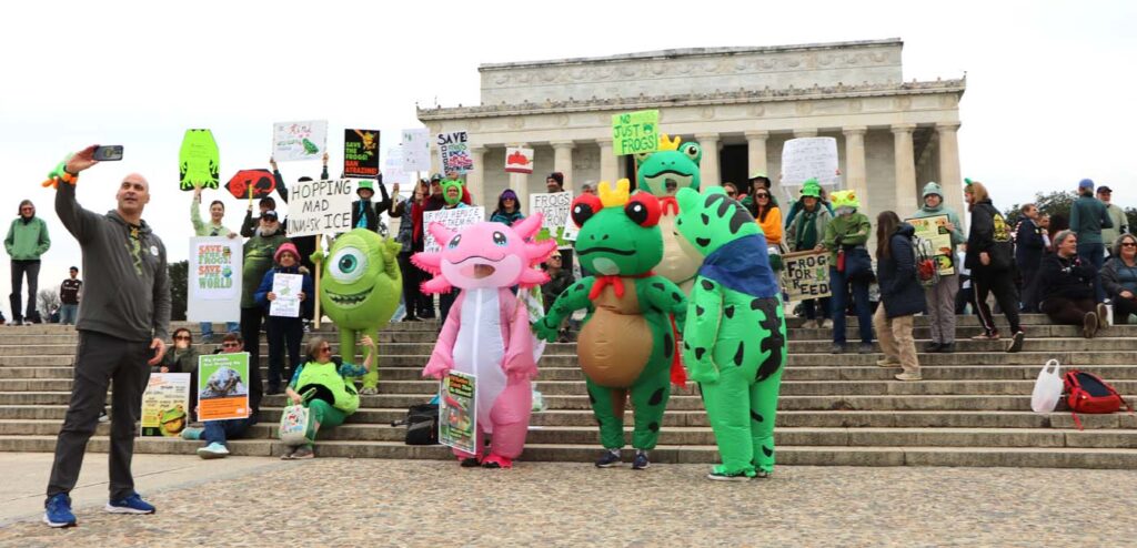 Pawai Sejuta Katak Washington DC 2025 11 15 CanonT6S 1400 05