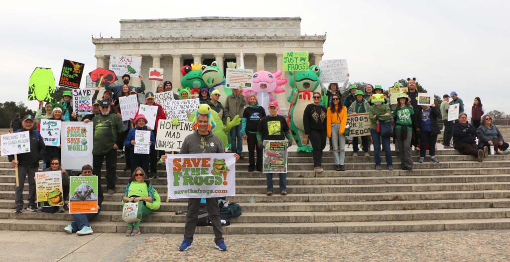 Pawai Sejuta Katak - Washington DC - Bendera kelompok 15-11-2025