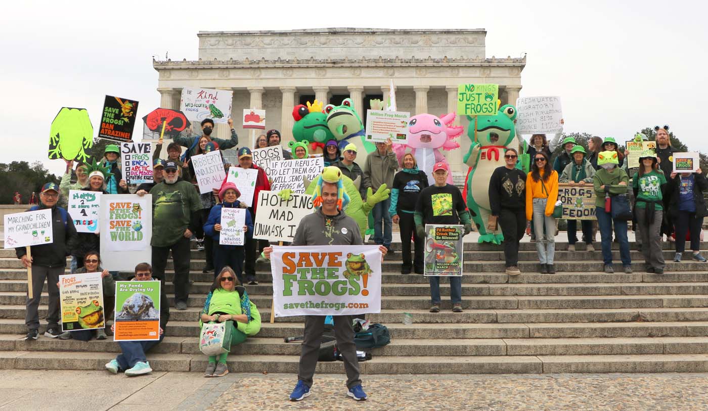백만 개구리 행진 - 워싱턴 DC - 2025-11-15 그룹 플래그