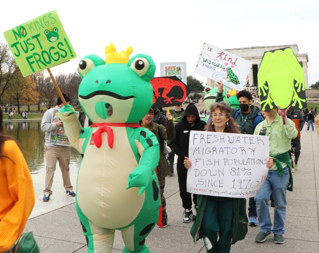 Pawai Sejuta Katak Washington DC 2025 11-15 CanonT6S 1400 15