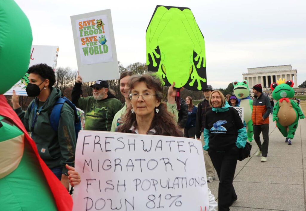 Pawai Sejuta Katak Washington DC 2025 11 15 CanonT6S 1400 17