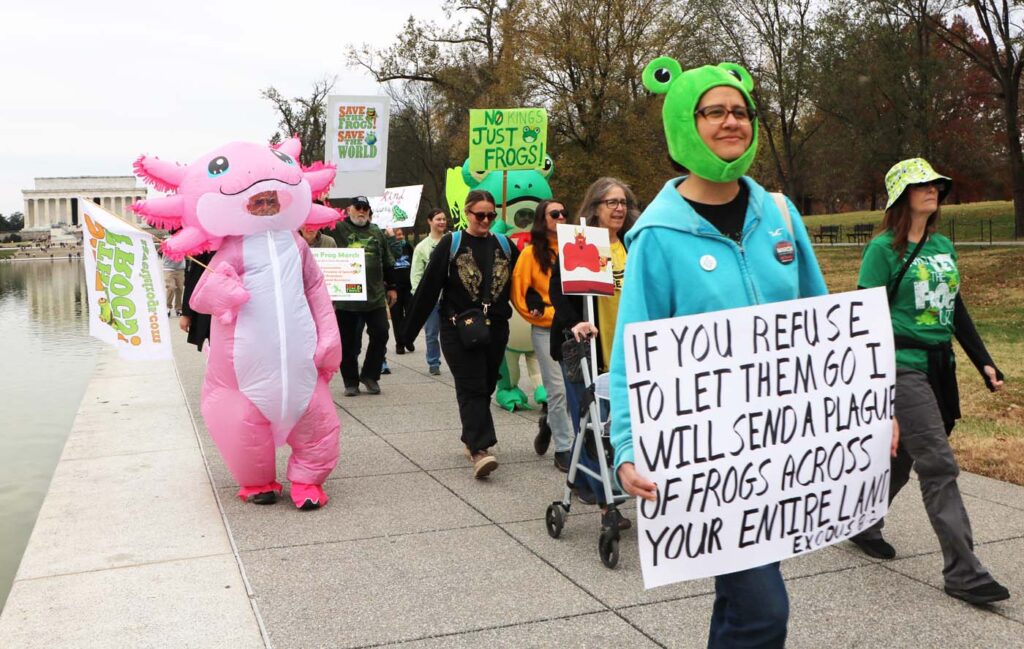 Pawai Sejuta Katak Washington DC 2025 11 15 CanonT6S 1400 19