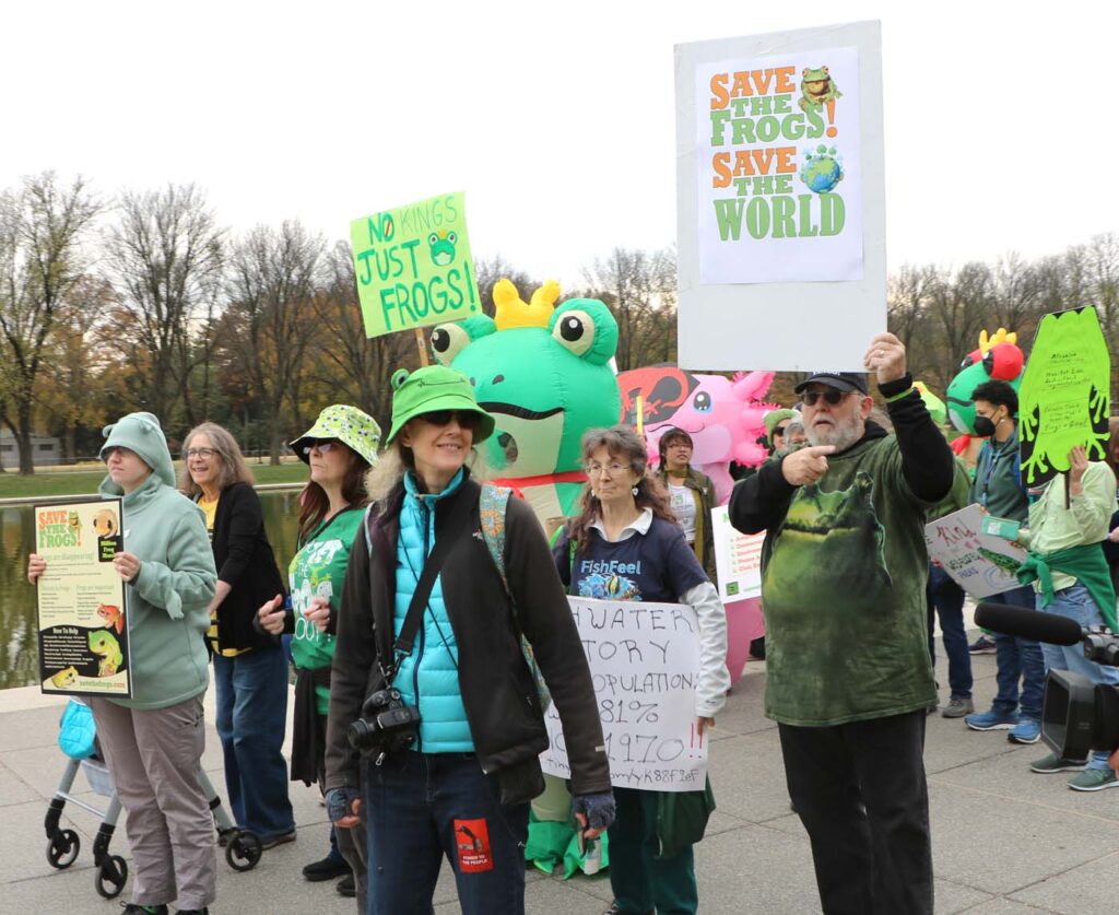 Pawai Sejuta Katak - Washington DC - 15-11-2025 CanonT6S 1400 - 22