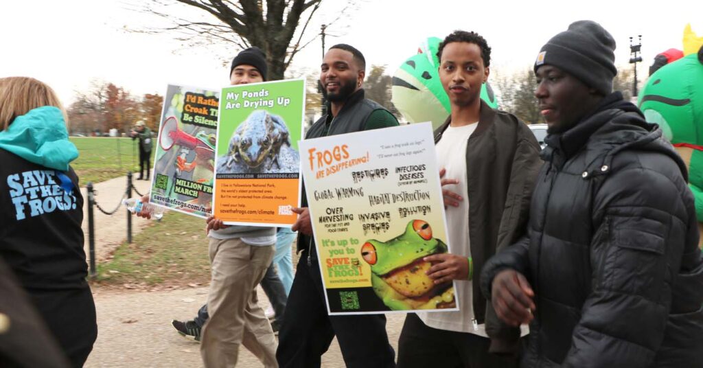 Pawai Sejuta Katak Washington DC 2025 11 15 CanonT6S 1400 25