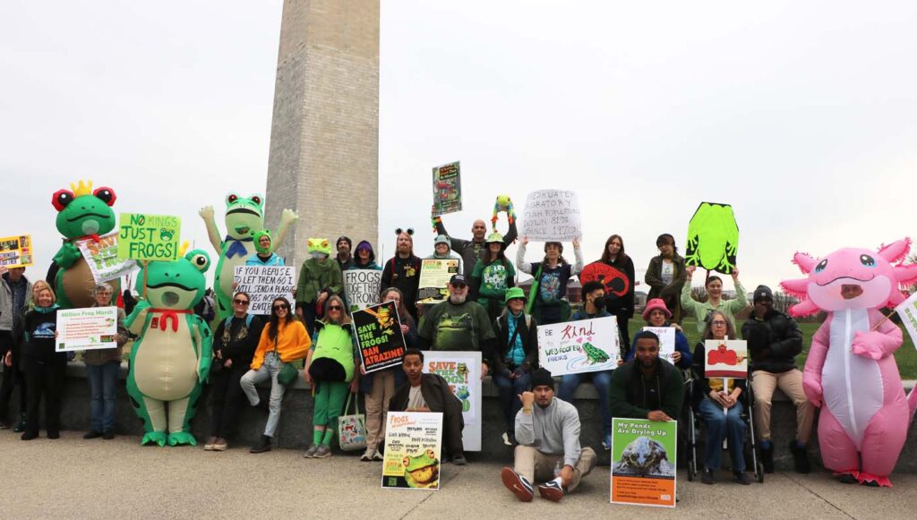 Pawai Sejuta Katak Washington DC 2025 11 15 CanonT6S 1400 28