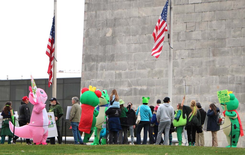 Pawai Sejuta Katak Washington DC 2025 11 15 CanonT6S 1400 31