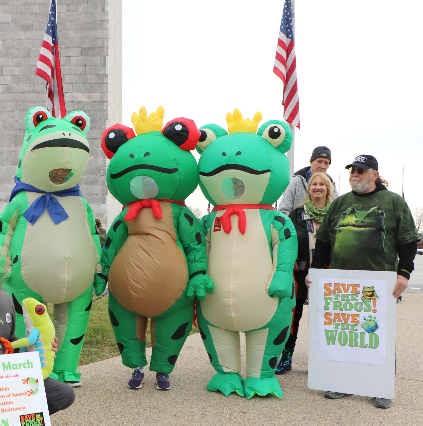 Million Frog March - Washington DC - 2025-11-15 CanonT6S 1400 - 34