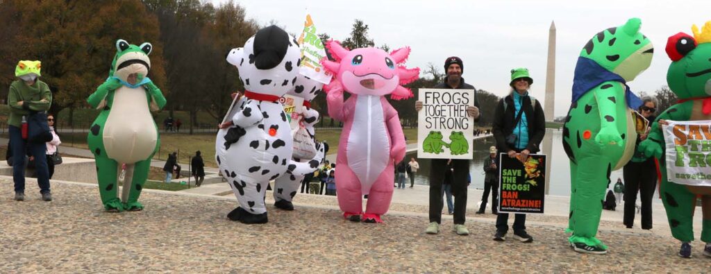 Pawai Sejuta Katak Washington DC 2025 11 15 CanonT6S 1400 47