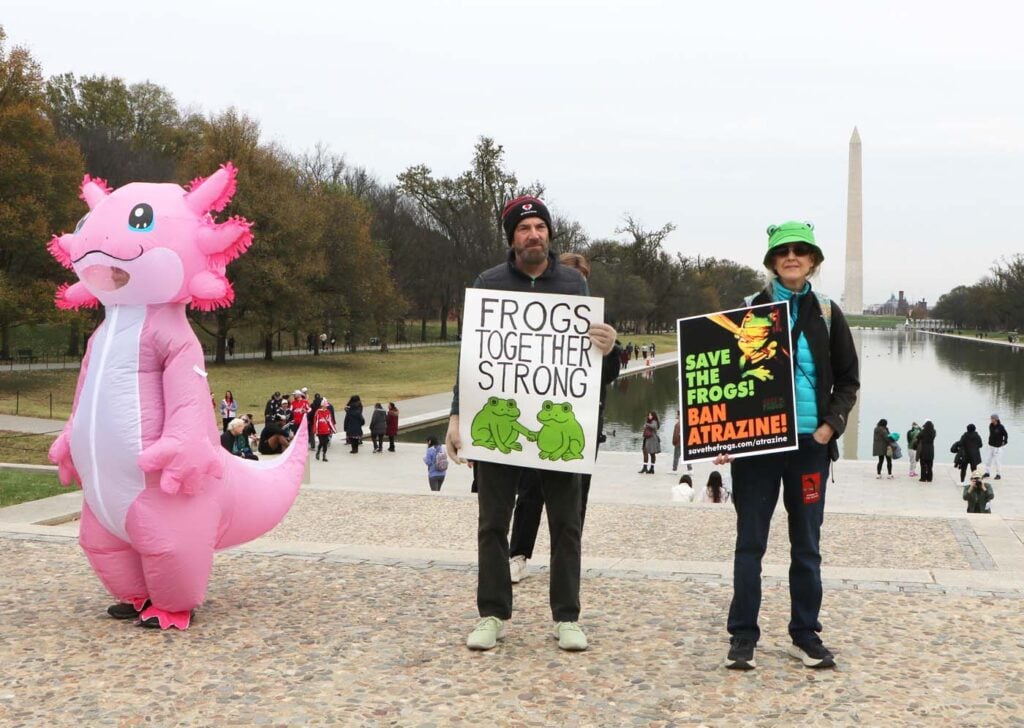 Pawai Sejuta Katak Washington DC 2025 11 15 CanonT6S 1400 49