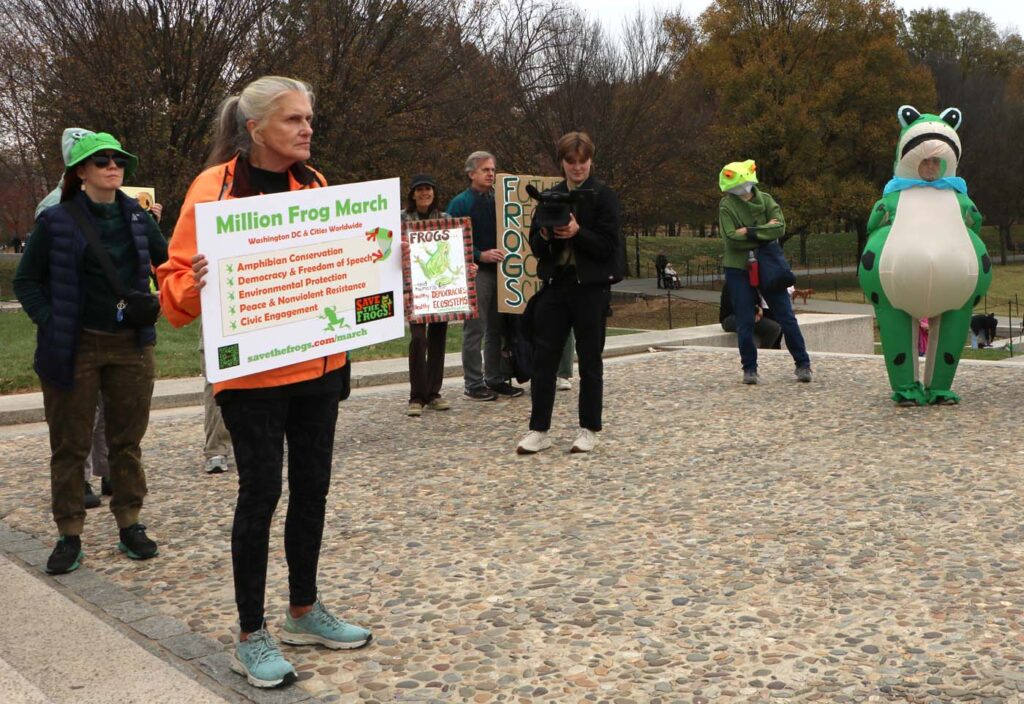 Pawai Sejuta Katak Washington DC 2025 11 15 CanonT6S 1400 51