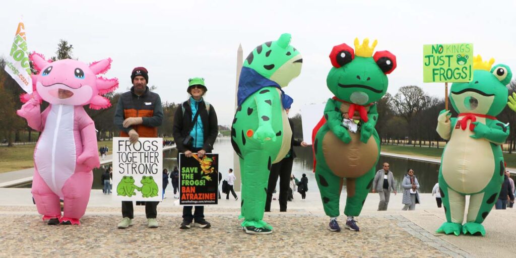 Pawai Sejuta Katak Washington DC 2025 11 15 CanonT6S 1400 52