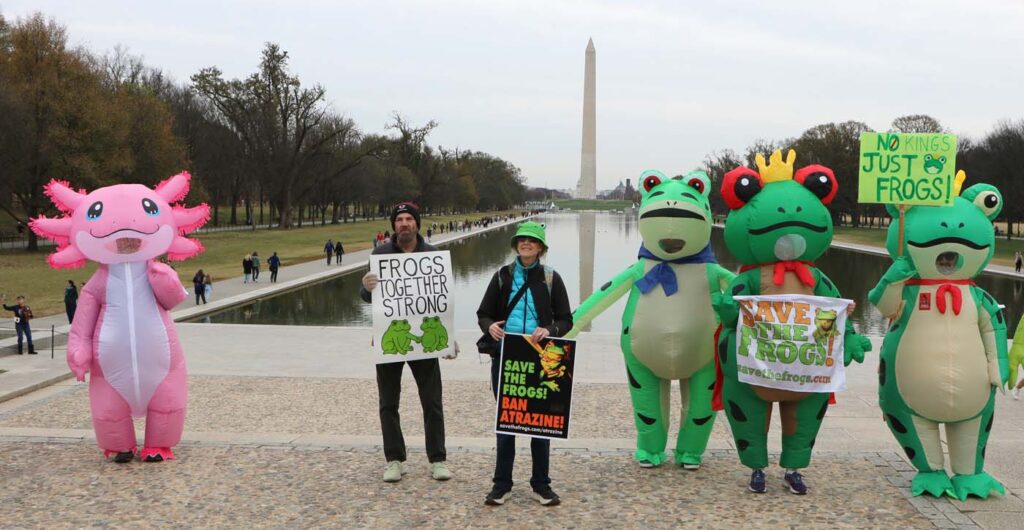 Pawai Sejuta Katak Washington DC 2025 11 15 CanonT6S 1400 58