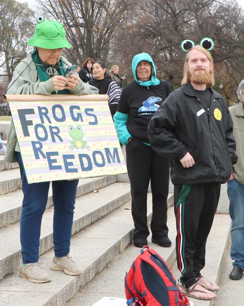 Pawai Sejuta Katak Washington DC 2025 11 15 CanonT6S 1400 62