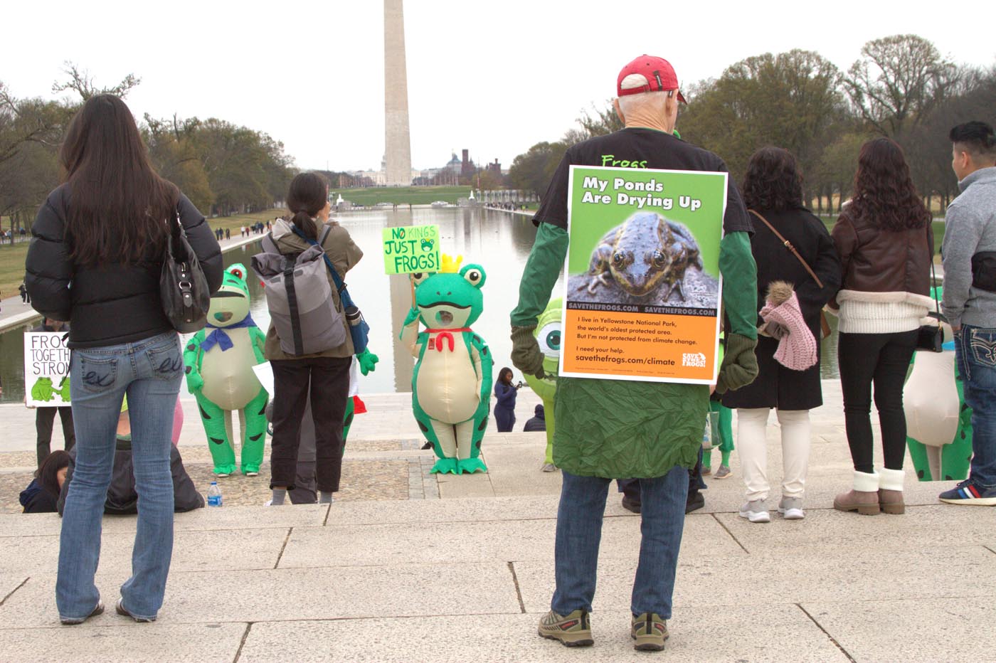 Million Frog March - Washington DC - 15-11-2025 - Foto di Arlo Lachenmeyer - 06
