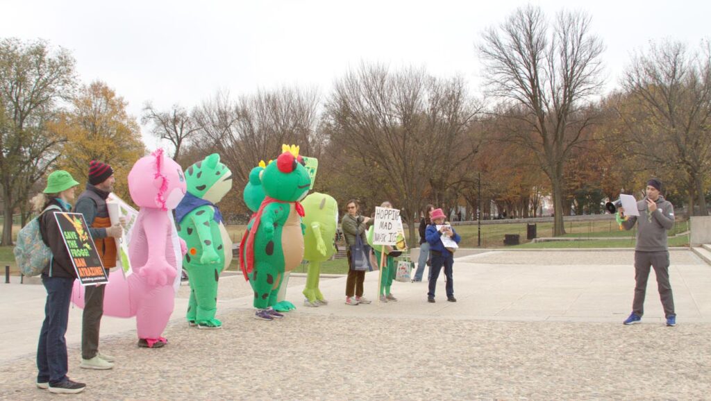 Pawai Sejuta Katak Washington DC 2025 11-15 Foto oleh Arlo Lachenmeyer 11