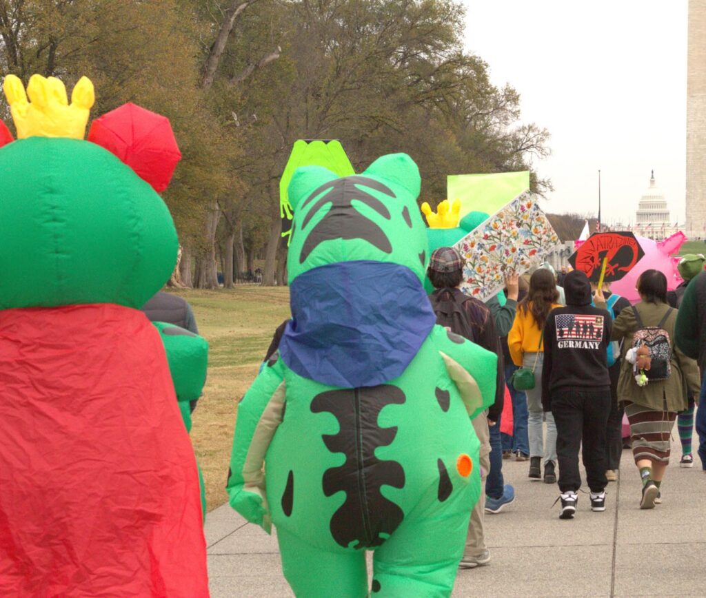 Pawai Sejuta Katak - Washington DC - 15-11-2025 - Foto oleh Arlo Lachenmeyer - 13