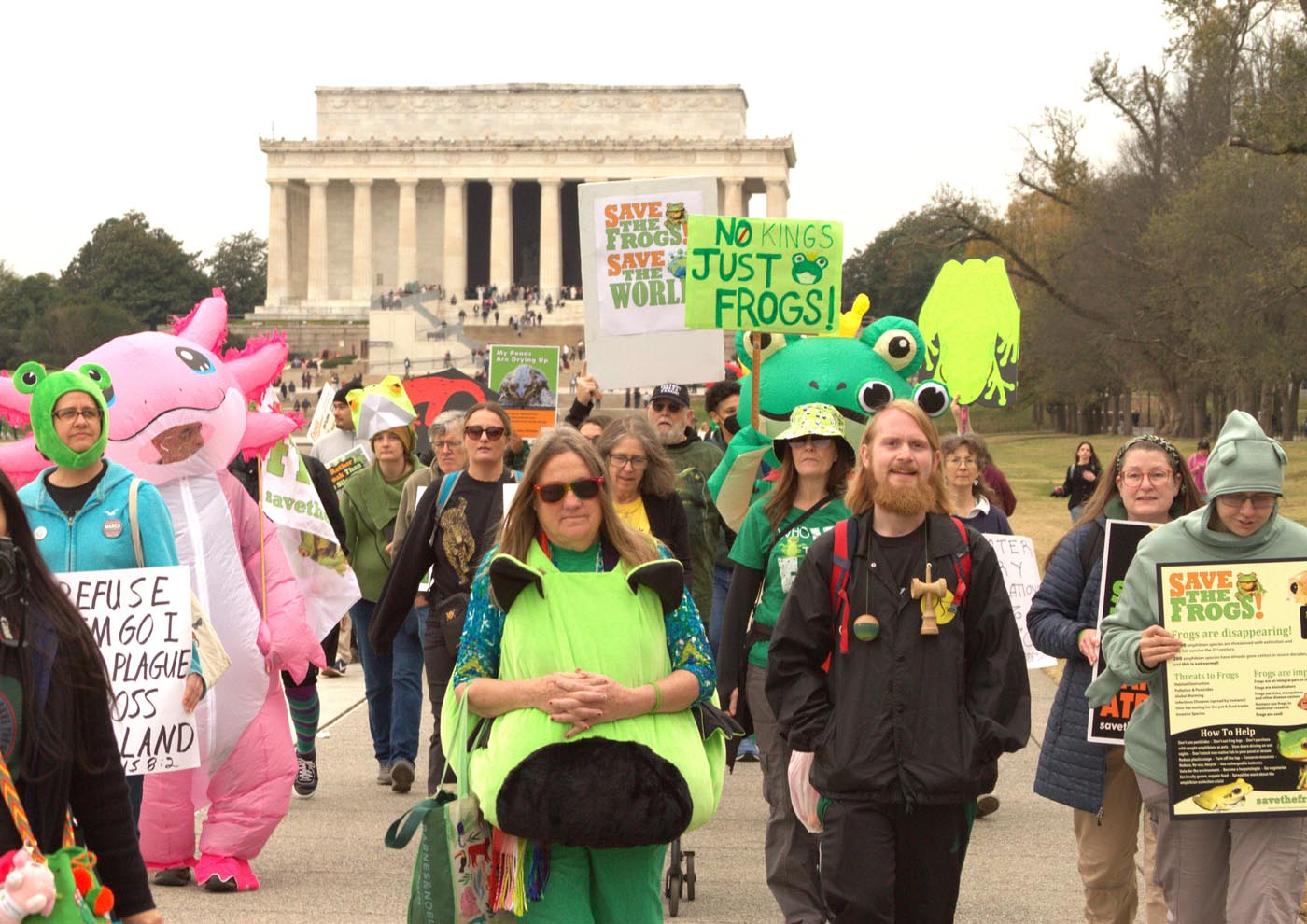 Million Frog March - วอชิงตัน ดี.ซี. - 15 พฤศจิกายน 2568 - ภาพโดย Arlo Lachenmeyer - 15