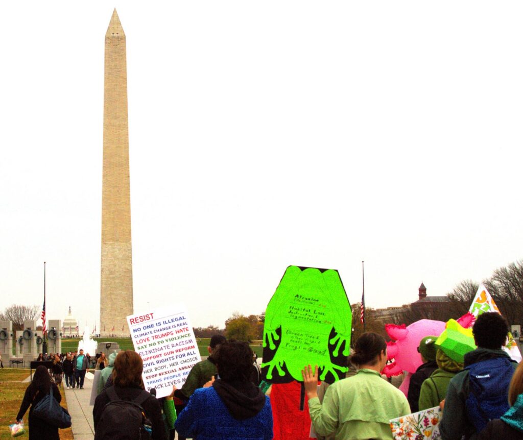 Pawai Sejuta Katak Washington DC 2025 11-15 Foto oleh Arlo Lachenmeyer 16